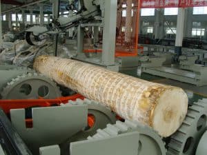 Timber Log Debarker